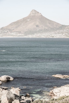 Picture of LIONS HEAD