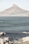 Picture of LIONS HEAD
