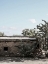 Picture of MEXI