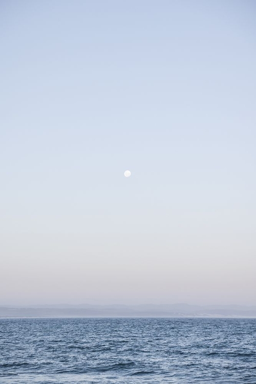 Picture of MOODY MOON