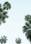 Picture of MY MINT MOMENT 02