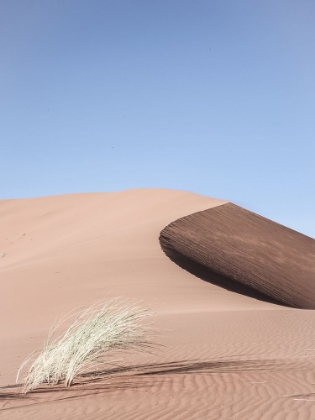 Picture of NAMIB TWO