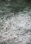Picture of OCEANIC 02