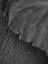 Picture of OLIFANT 02