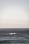 Picture of OPEN OCEAN