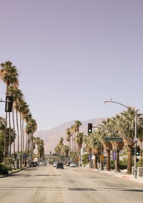 Picture of PALM SPRING