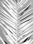 Picture of PATROON