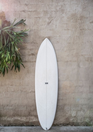 Picture of SAFARI TWINFIN