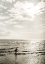 Picture of SALTY SHADES