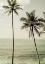 Picture of SEA BREEZE