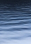 Picture of SEA SILK