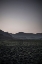 Picture of SILENCE