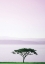 Picture of SUESSCAPE 02