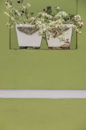 Picture of WALL GARDEN