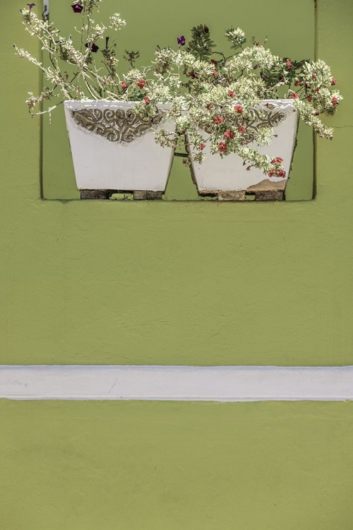 Picture of WALL GARDEN