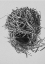 Picture of WEAVERS NEST
