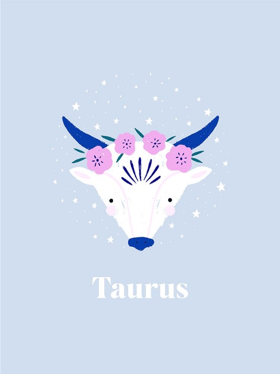 Picture of TAURUS