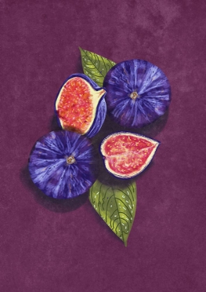 Picture of FIGS STIL LIFE