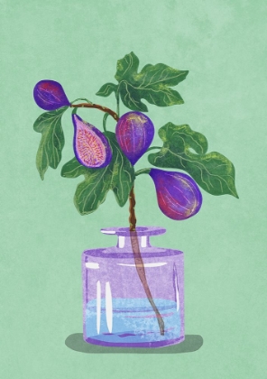 Picture of FIGS BRANCH IN VASE