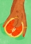 Picture of FRUITLOVER