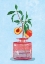 Picture of PEACH TREE IN VASE