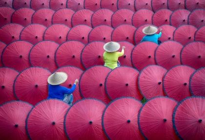 Picture of PAINT UMBRELLAS TOGETHER