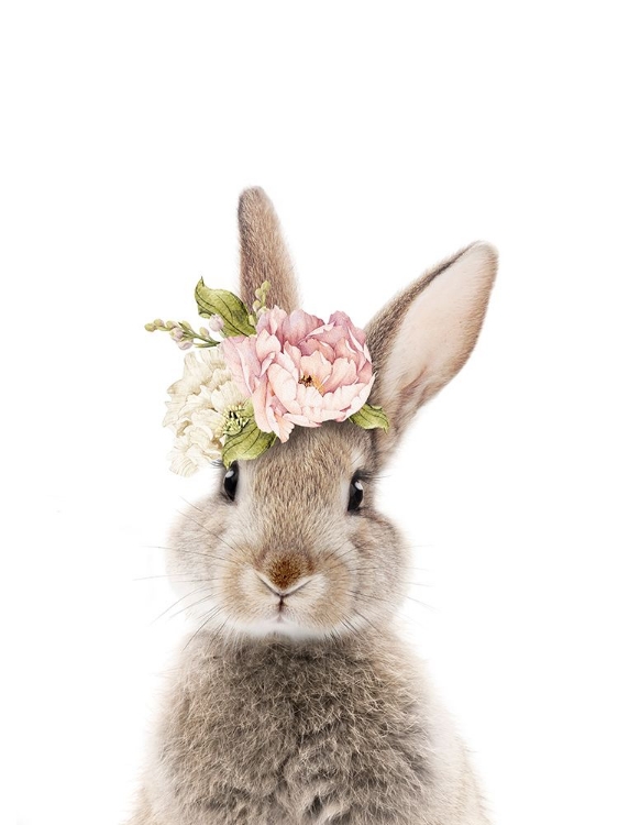 Picture of FLORAL BUNNY