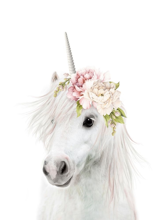 Picture of FLORAL UNICORN