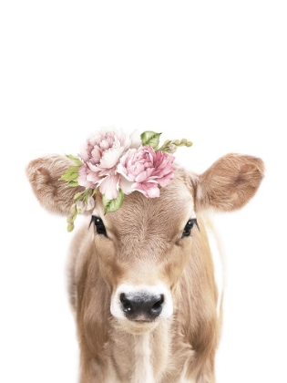 Picture of FLORAL BABY CALF