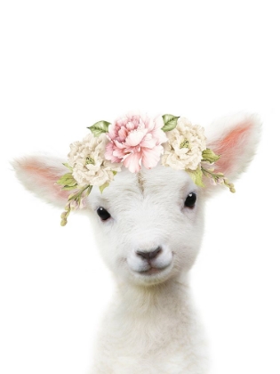 Picture of FLORAL BABY SHEEP