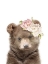 Picture of FLORAL BABY BEAR