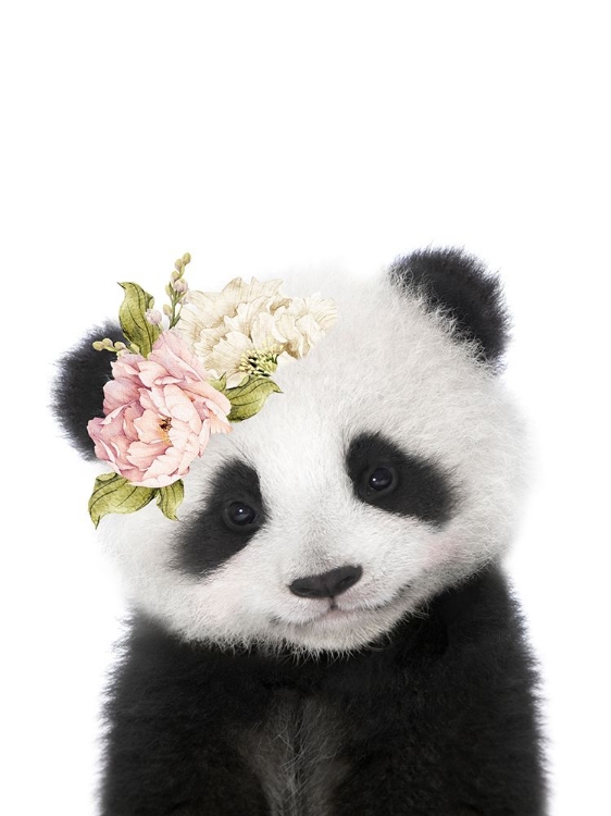 Picture of FLORAL BABY PANDA