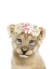 Picture of FLORAL BABY LION