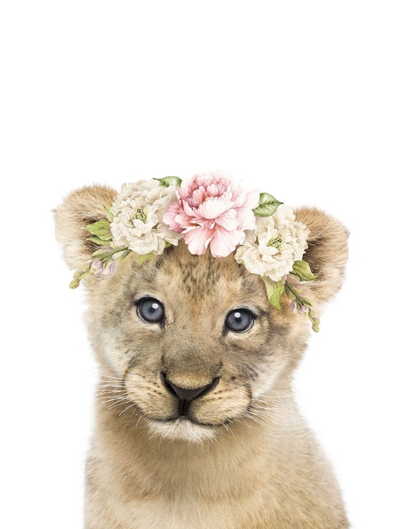 Picture of FLORAL BABY LION