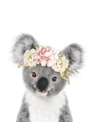 Picture of FLORAL BABY KOALA
