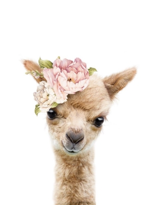 Picture of FLORAL BABY LLAMA