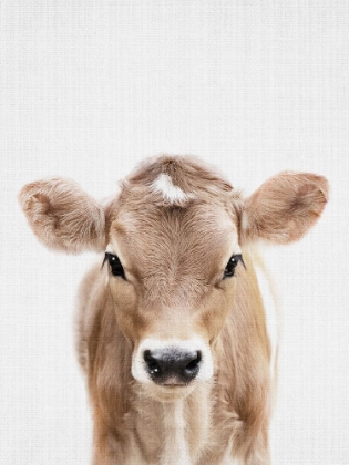 Picture of PEEKABOO BABY COW