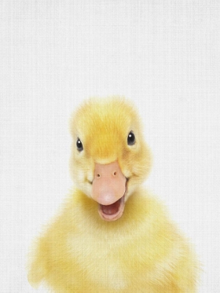 Picture of PEEKABOO BABY DUCK