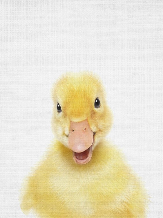 Picture of PEEKABOO BABY DUCK