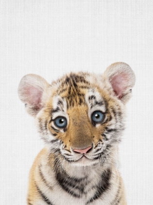 Picture of PEEKABOO BABY TIGER