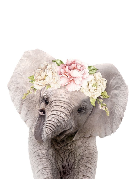Picture of FLORAL BABY ELEPHANT