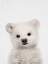 Picture of PEEKABOO BABY POLAR BEAR