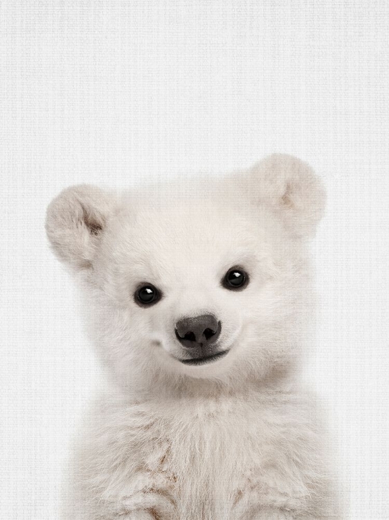 Picture of PEEKABOO BABY POLAR BEAR