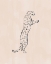 Picture of LEOPARD