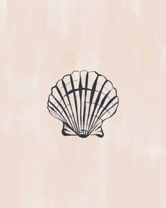 Picture of SEASHELL