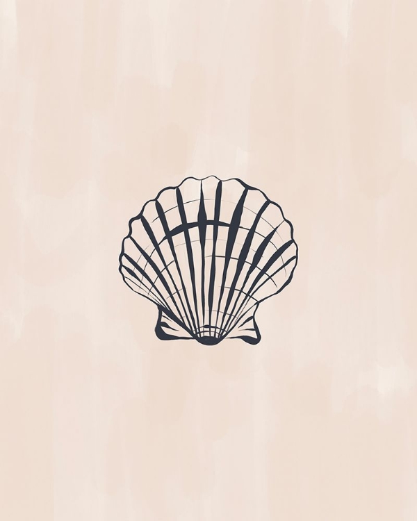 Picture of SEASHELL