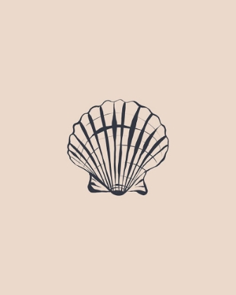 Picture of SEASHELL