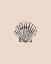 Picture of SEASHELL