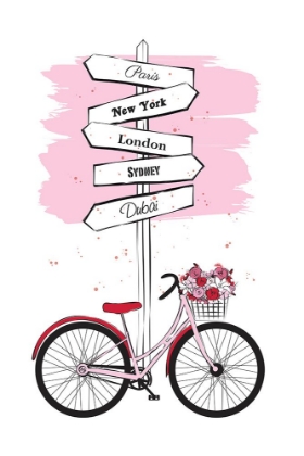 Picture of BIKE TRAVELS