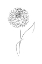 Picture of LINE BLOOM